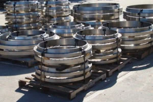 Stainless Pipe Flanges